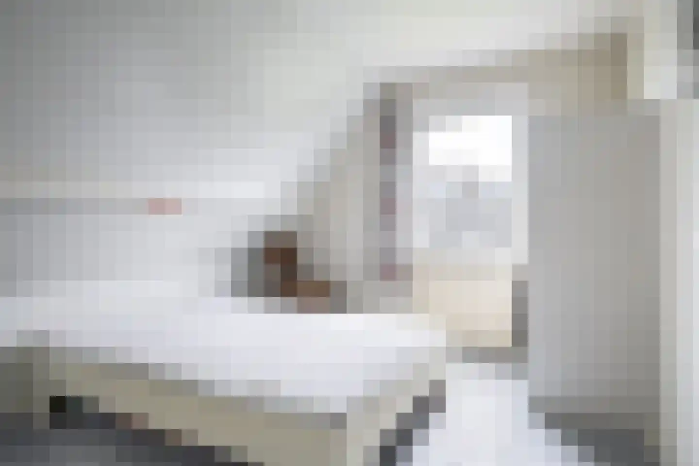 Súdfinne 5 Grou thumbnail 23