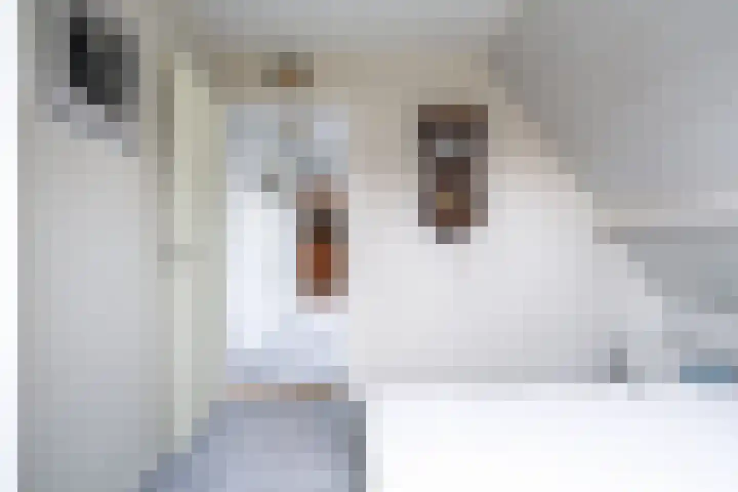 Súdfinne 5 Grou thumbnail 25