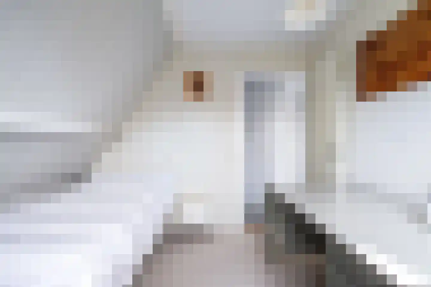 Súdfinne 5 Grou thumbnail 27