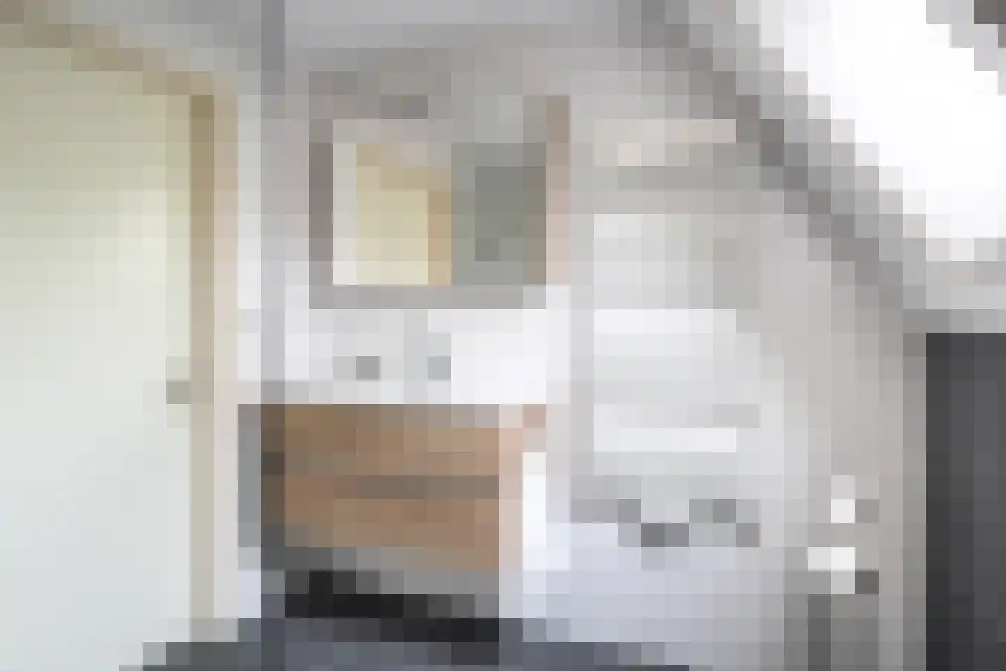 Súdfinne 5 Grou thumbnail 30