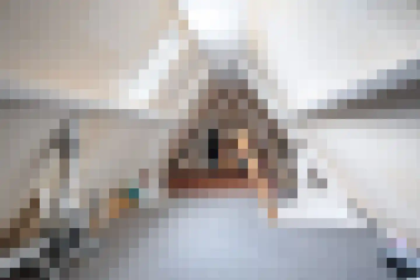 Súdfinne 5 Grou thumbnail 32