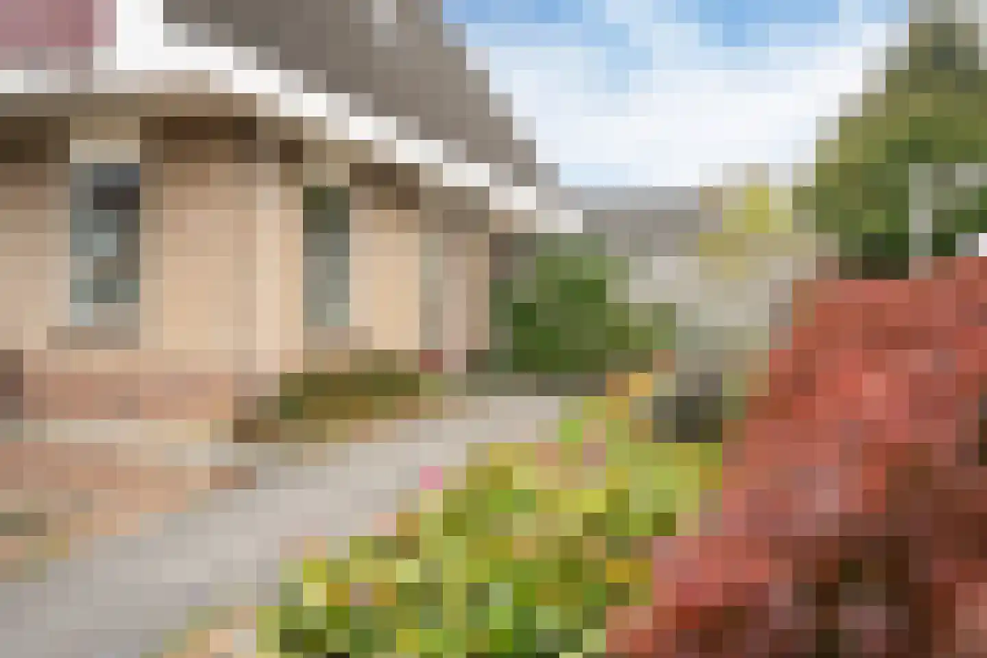 Súdfinne 5 Grou thumbnail 36