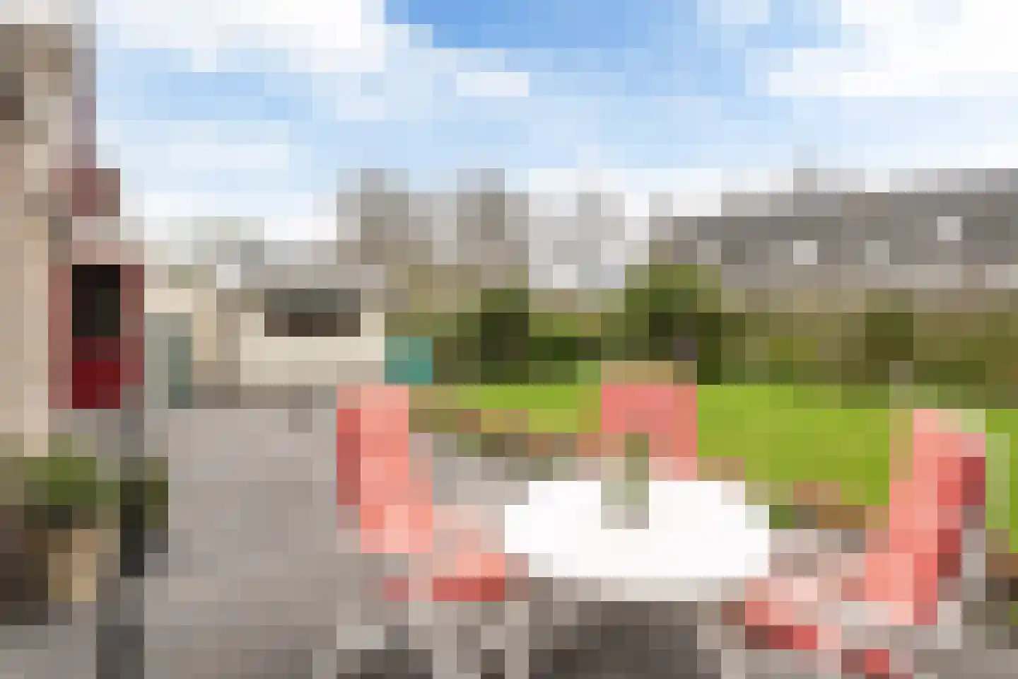 Súdfinne 5 Grou thumbnail 39