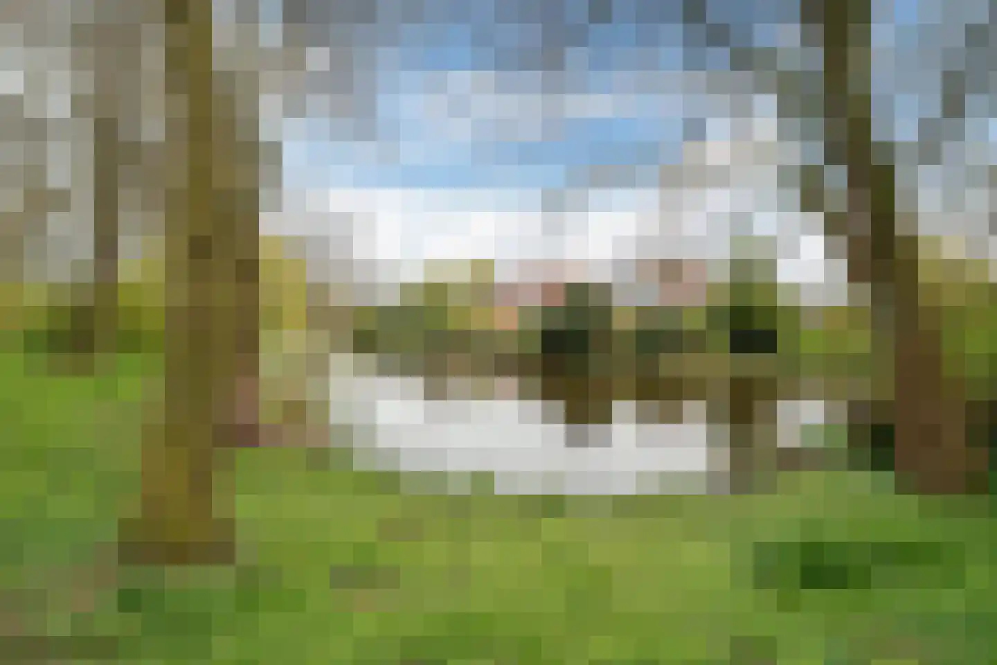 Súdfinne 5 Grou thumbnail 46