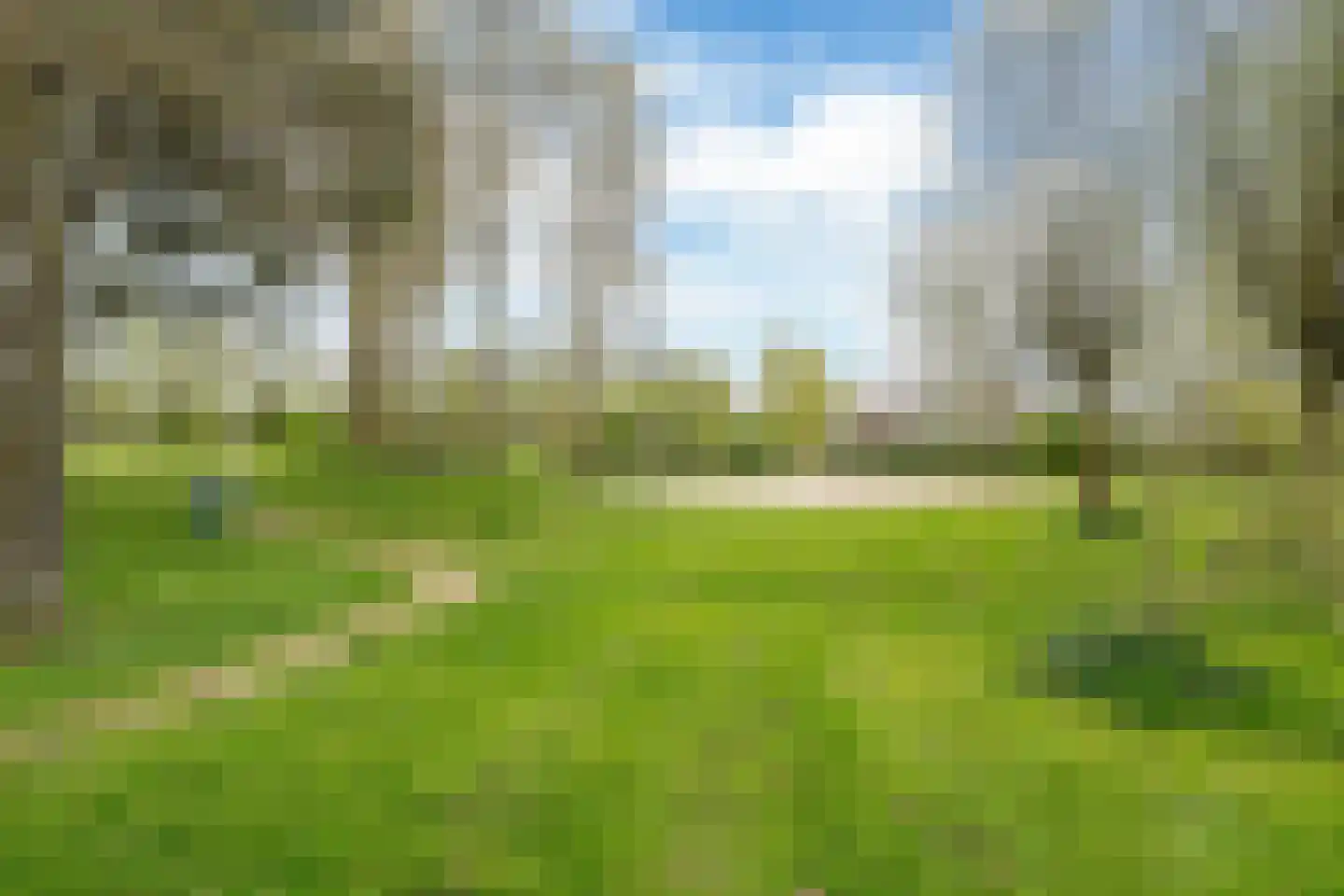 Súdfinne 5 Grou thumbnail 47