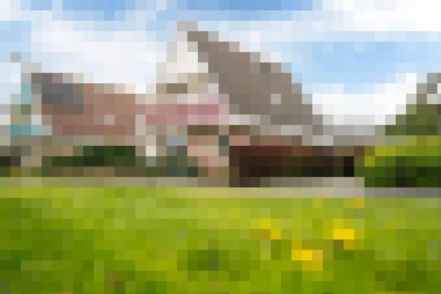 Súdfinne 5 Grou thumbnail 50