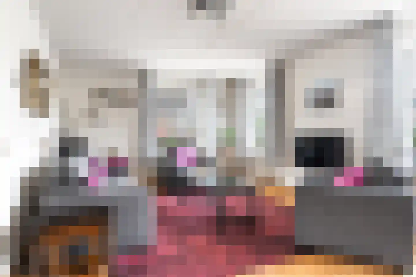 Súdfinne 5 Grou thumbnail 7