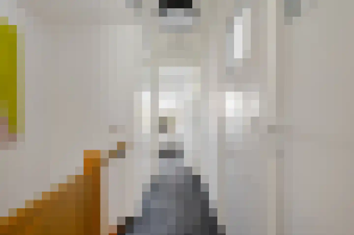 Súdkant 45 Aldeboarn thumbnail 17