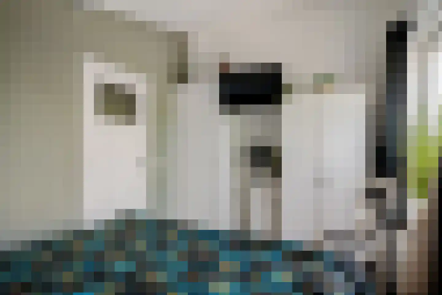 Súdkant 45 Aldeboarn thumbnail 19