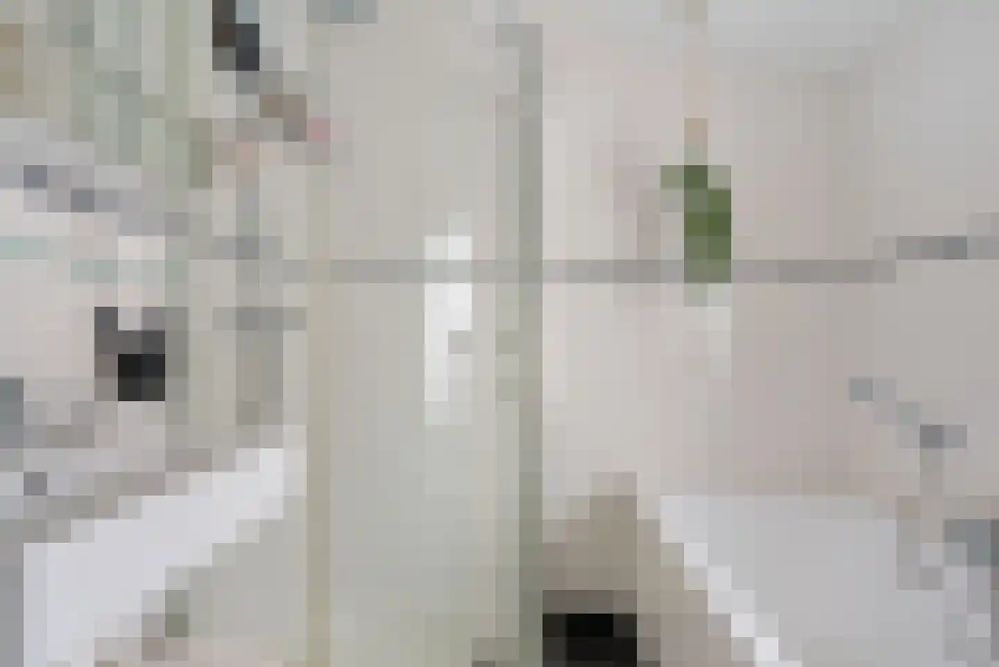 Súdkant 45 Aldeboarn thumbnail 21