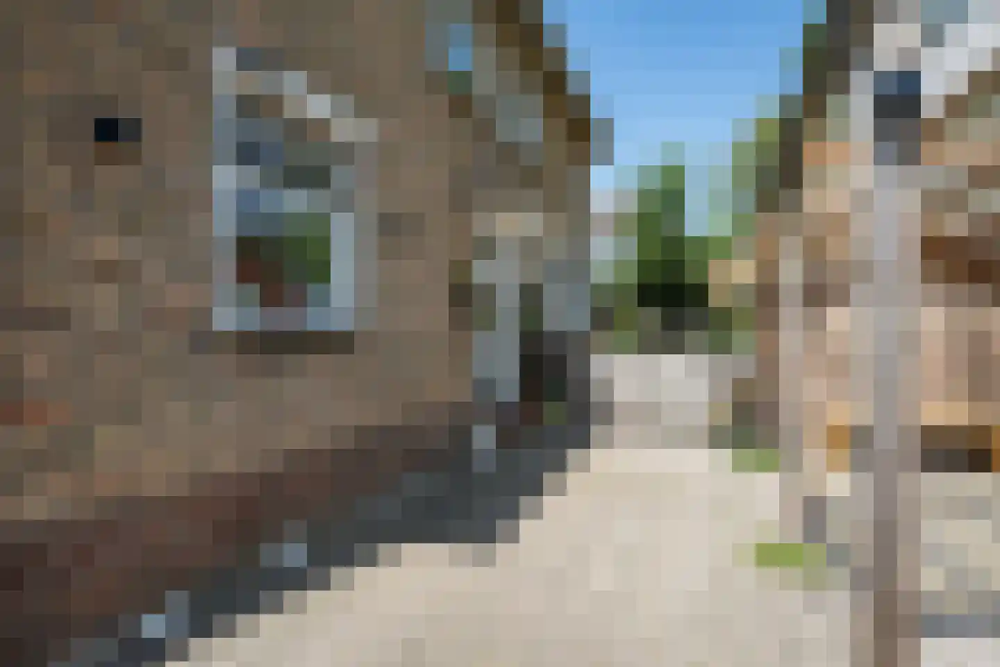 Súdkant 45 Aldeboarn thumbnail 5