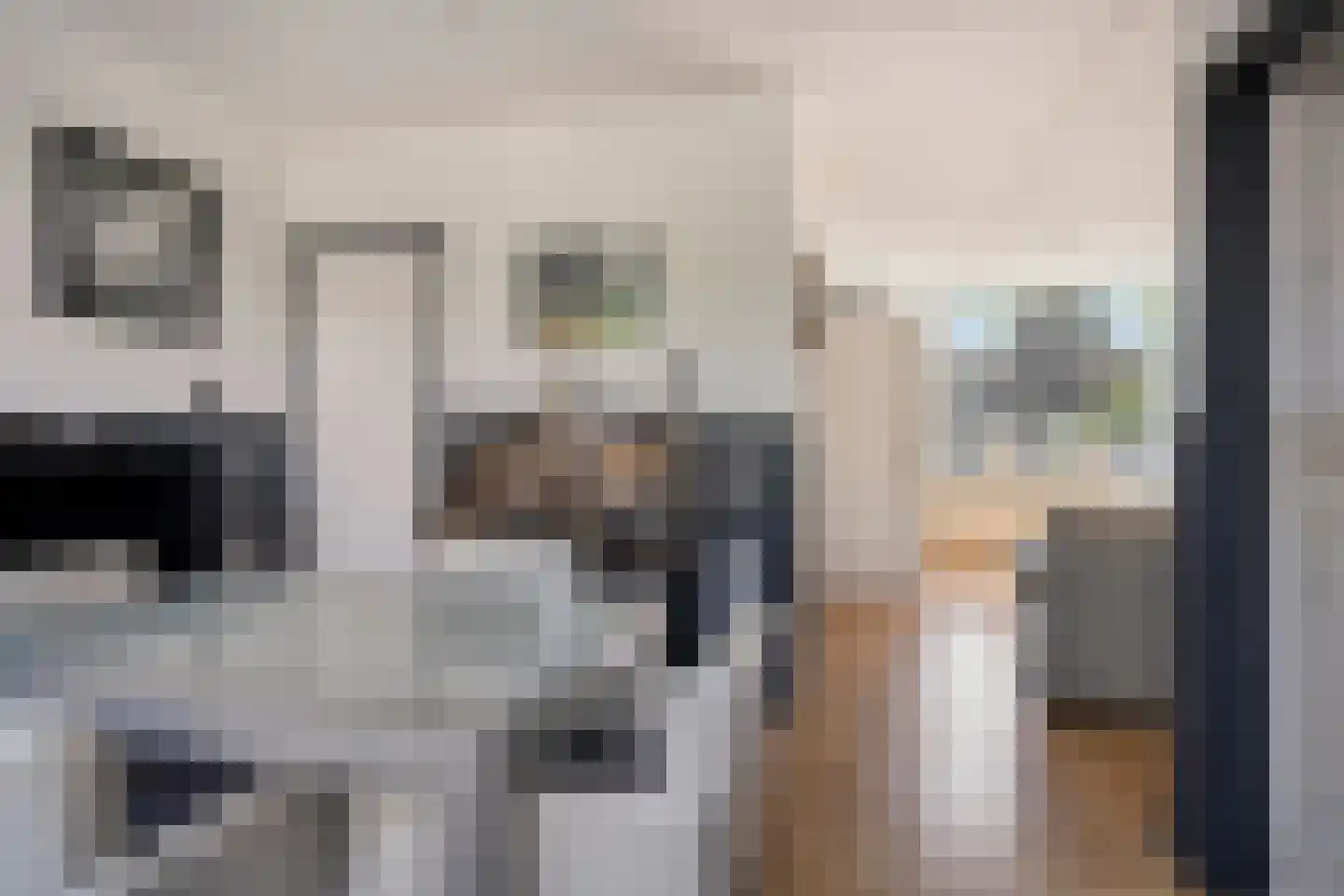Súdterp 15 Kimswerd thumbnail 13