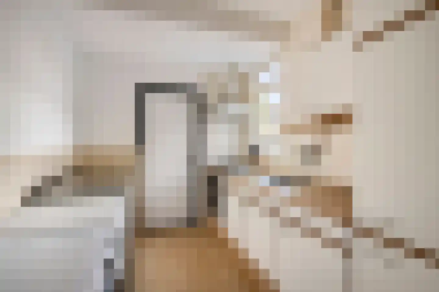 Súdterp 15 Kimswerd thumbnail 14