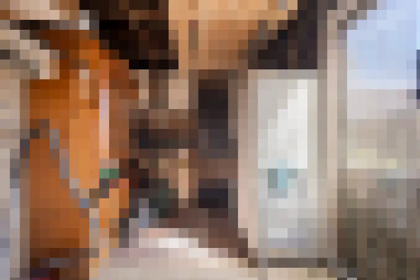 Súdterp 15 Kimswerd thumbnail 15