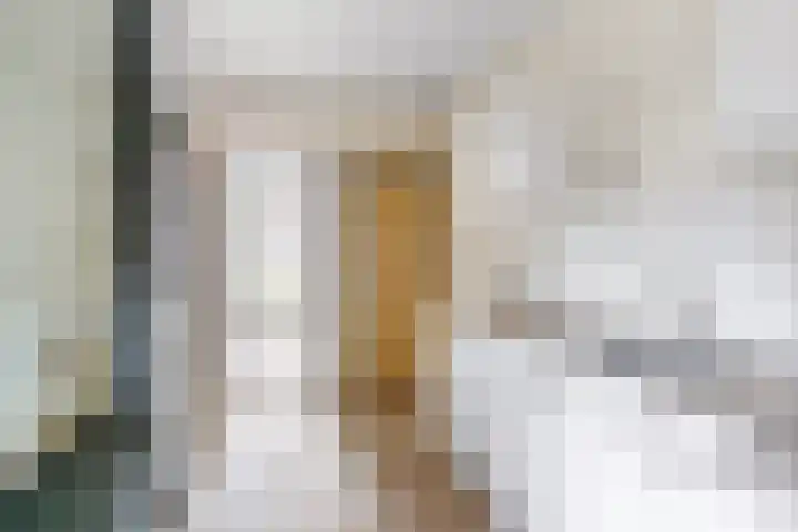 Súdterp 4 Kimswerd thumbnail 11