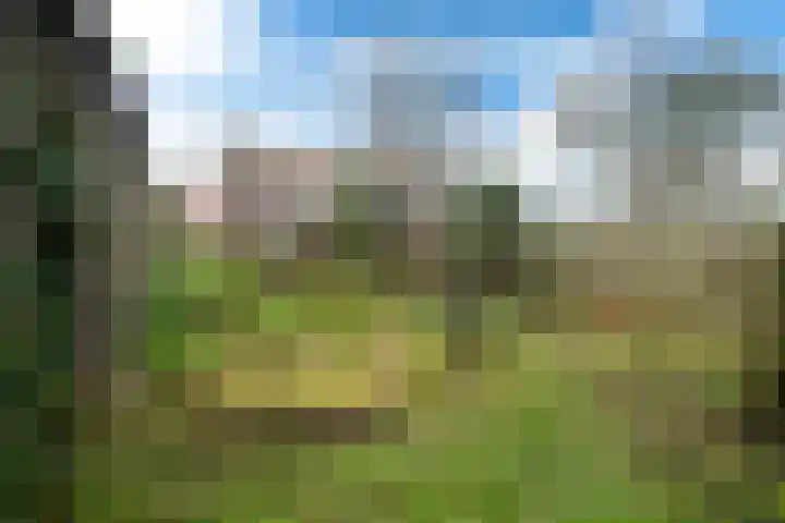 Súdterp 4 Kimswerd thumbnail 17