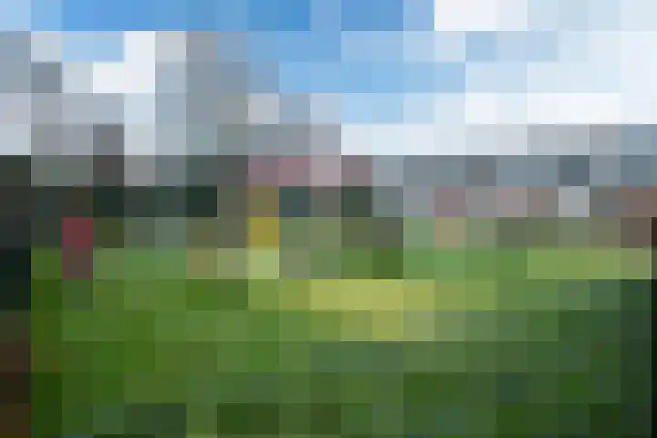 Súdterp 4 Kimswerd thumbnail 27
