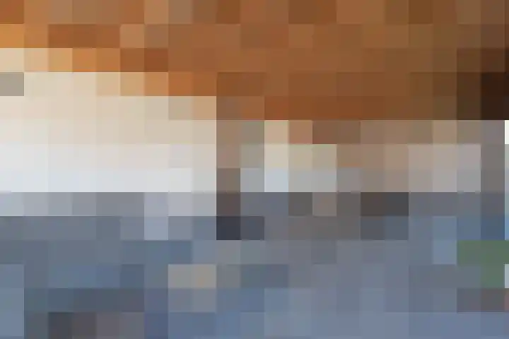 Suermondsweg 10 Smilde thumbnail 26