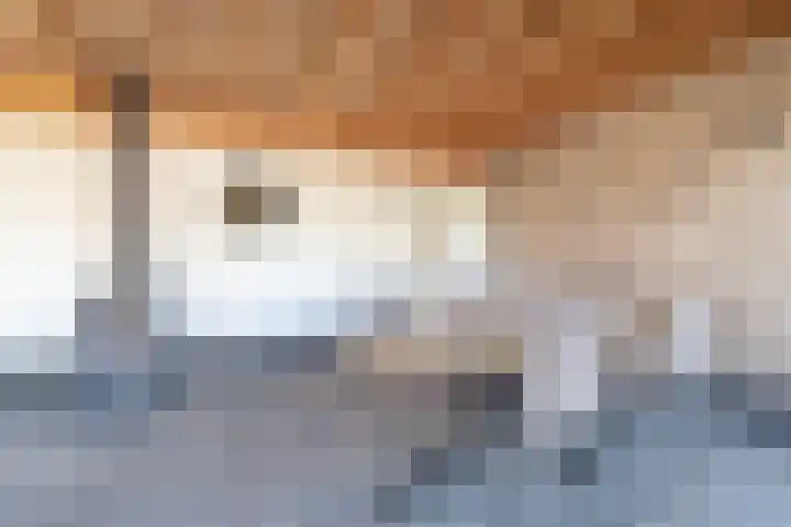 Suermondsweg 10 Smilde thumbnail 28