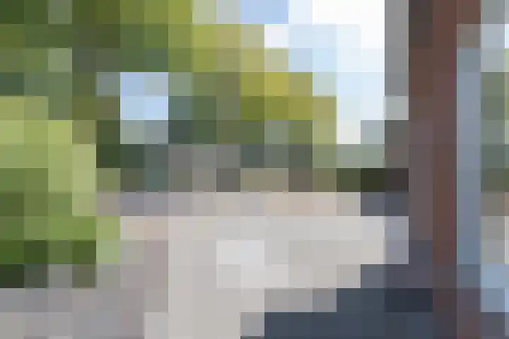 Suermondsweg 10 Smilde thumbnail 36