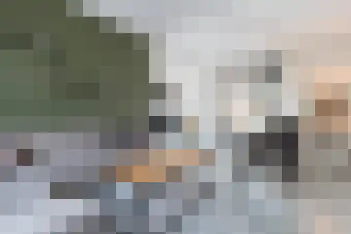 Suermondsweg 10 Smilde thumbnail 6