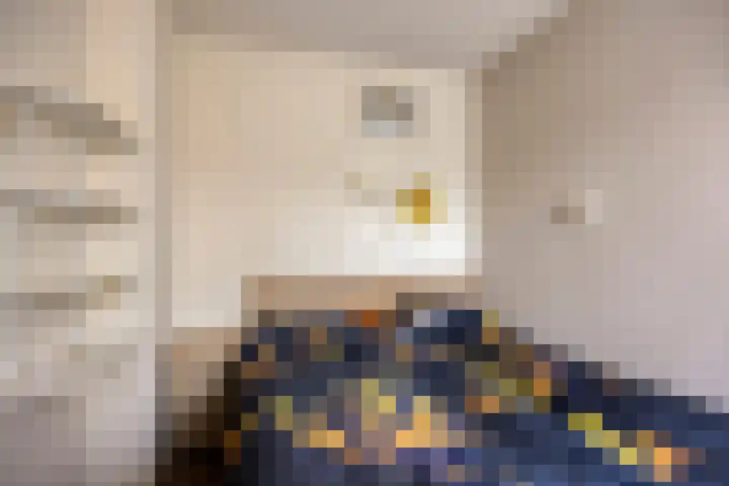 Suermondsweg 14 A Smilde thumbnail 17