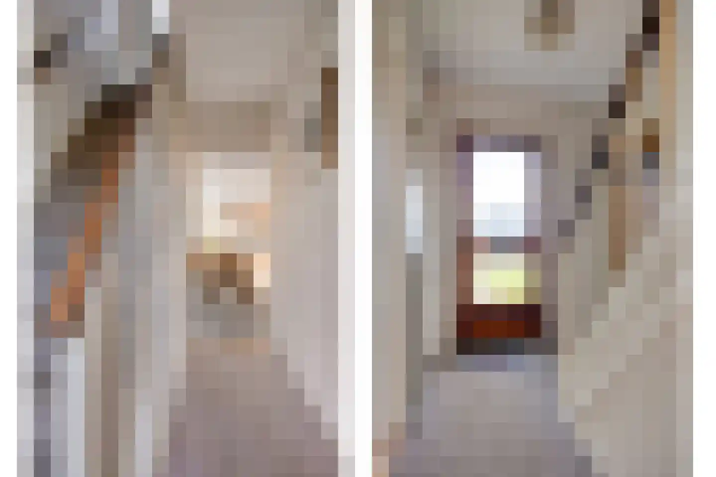 Suermondsweg 14 A Smilde thumbnail 6