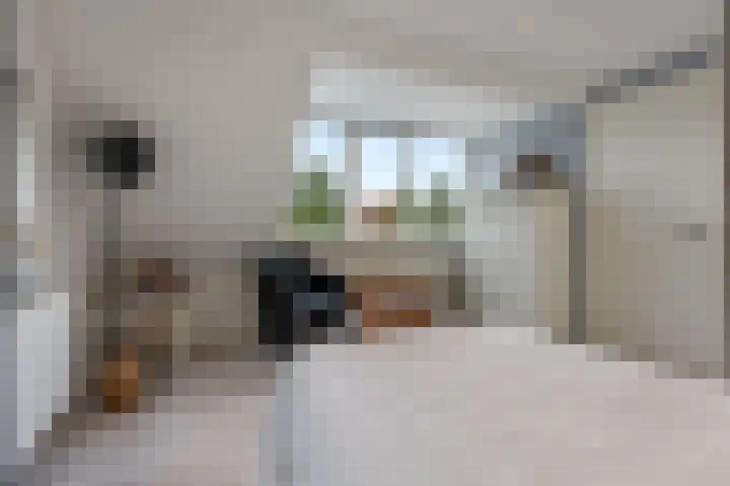 Suermondsweg 15 C Smilde thumbnail 27