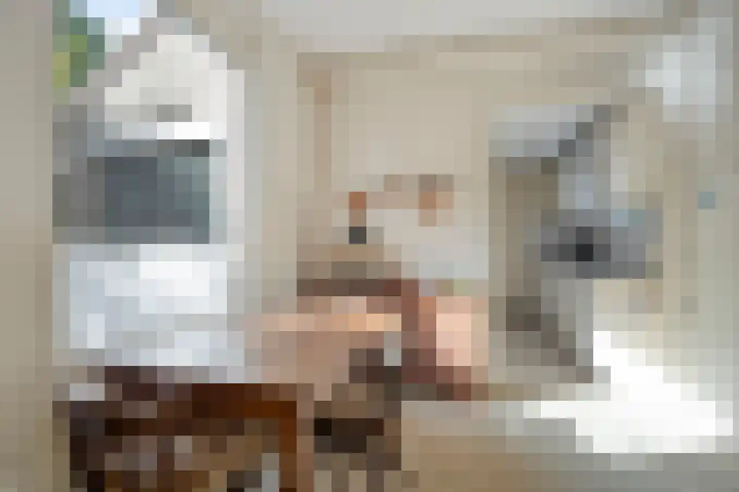 Suermondsweg 4 Smilde thumbnail 14