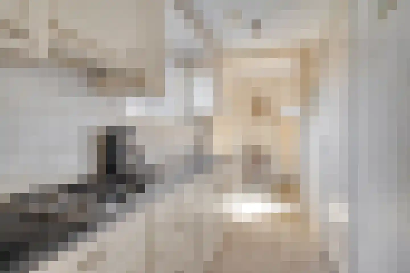 Suermondsweg 4 Smilde thumbnail 17