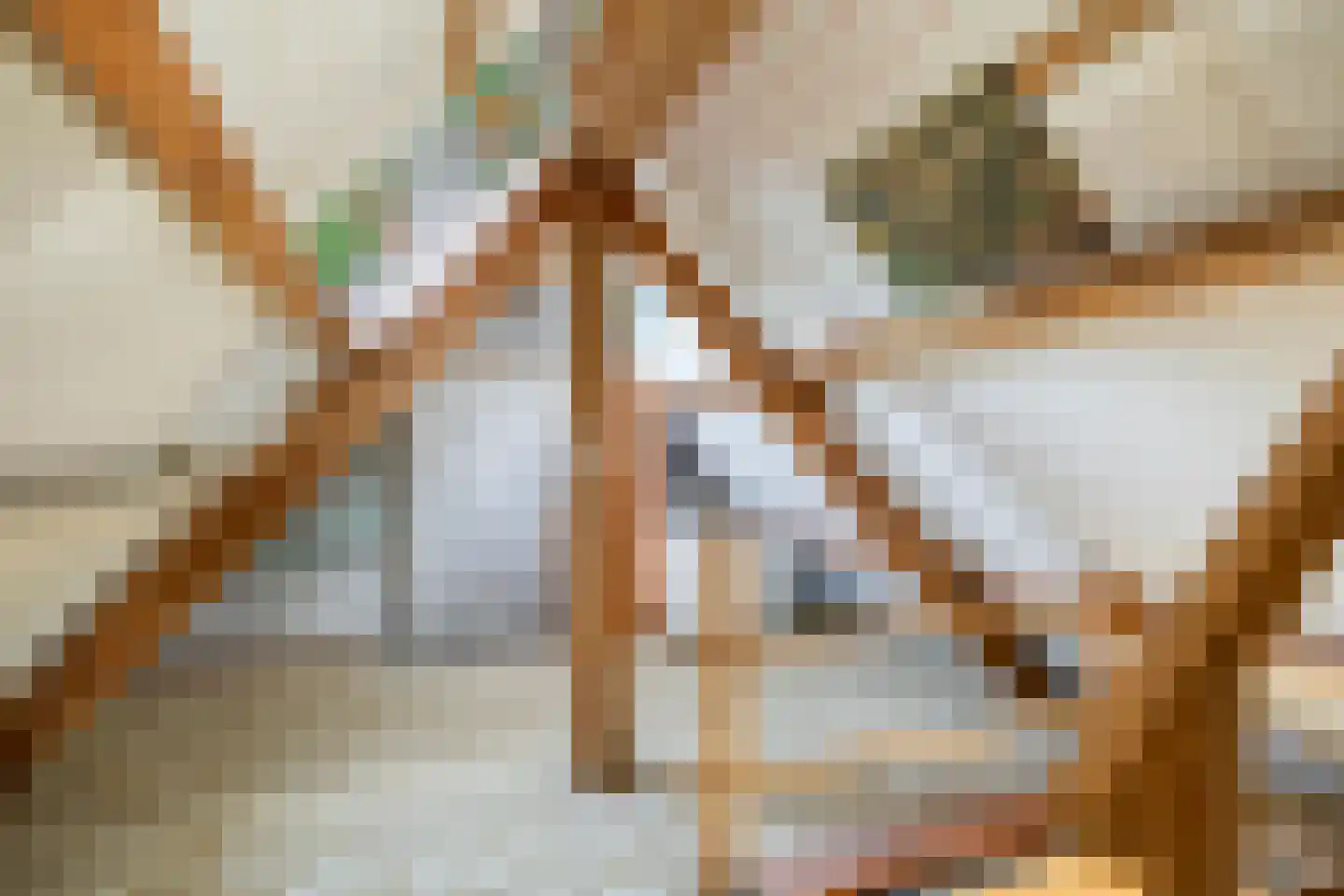 Suermondsweg 4 Smilde thumbnail 30