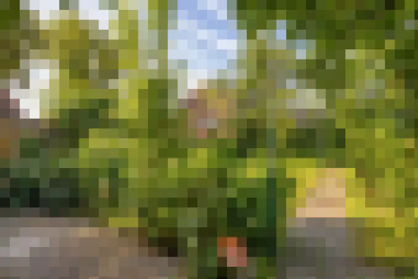 Suermondsweg 4 Smilde thumbnail 35