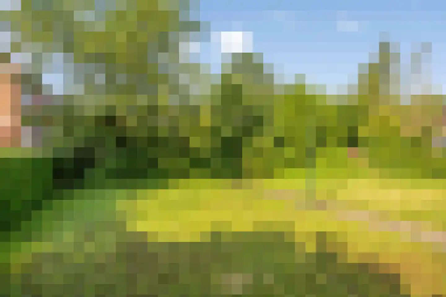 Suermondsweg 4 Smilde thumbnail 36
