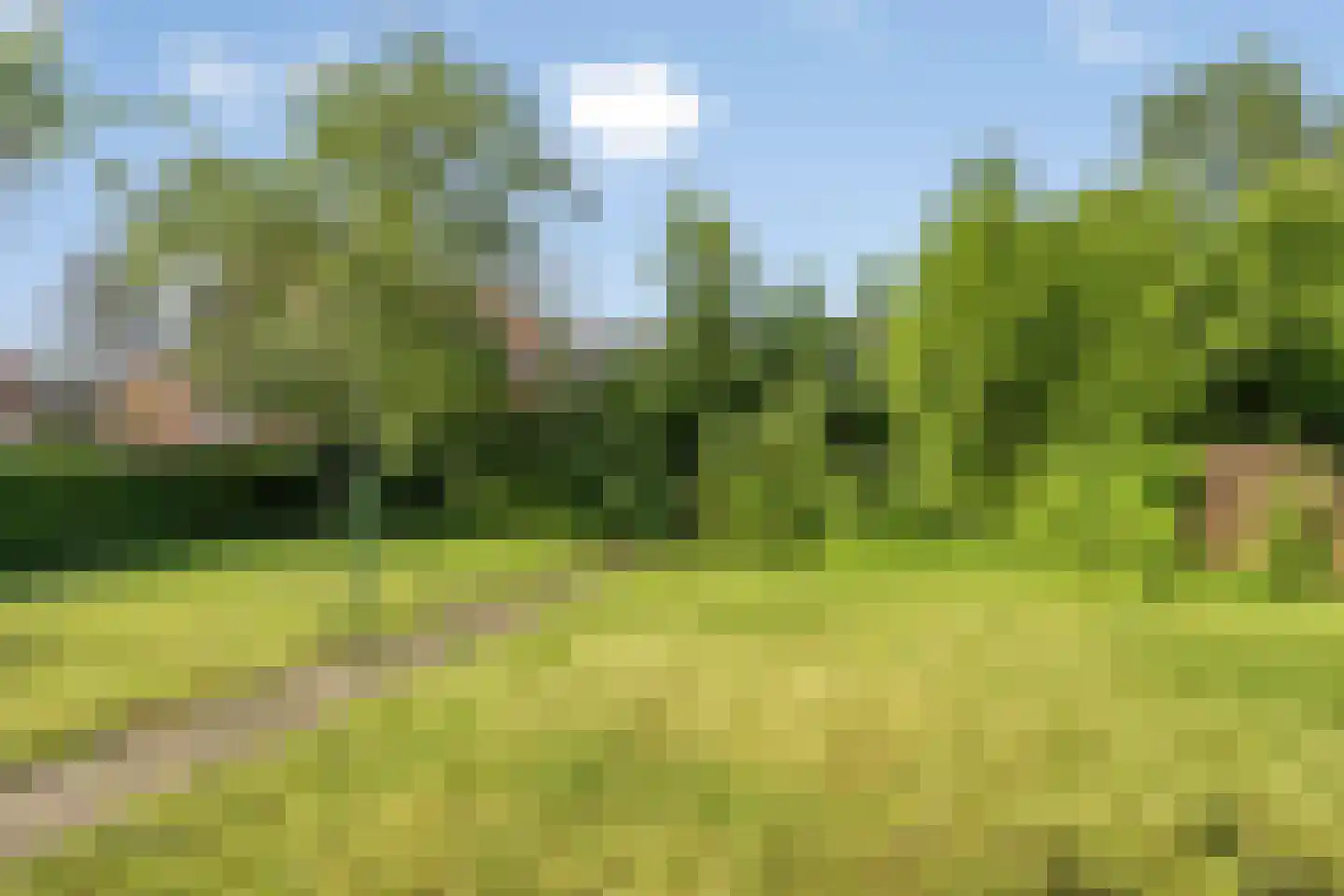 Suermondsweg 4 Smilde thumbnail 39