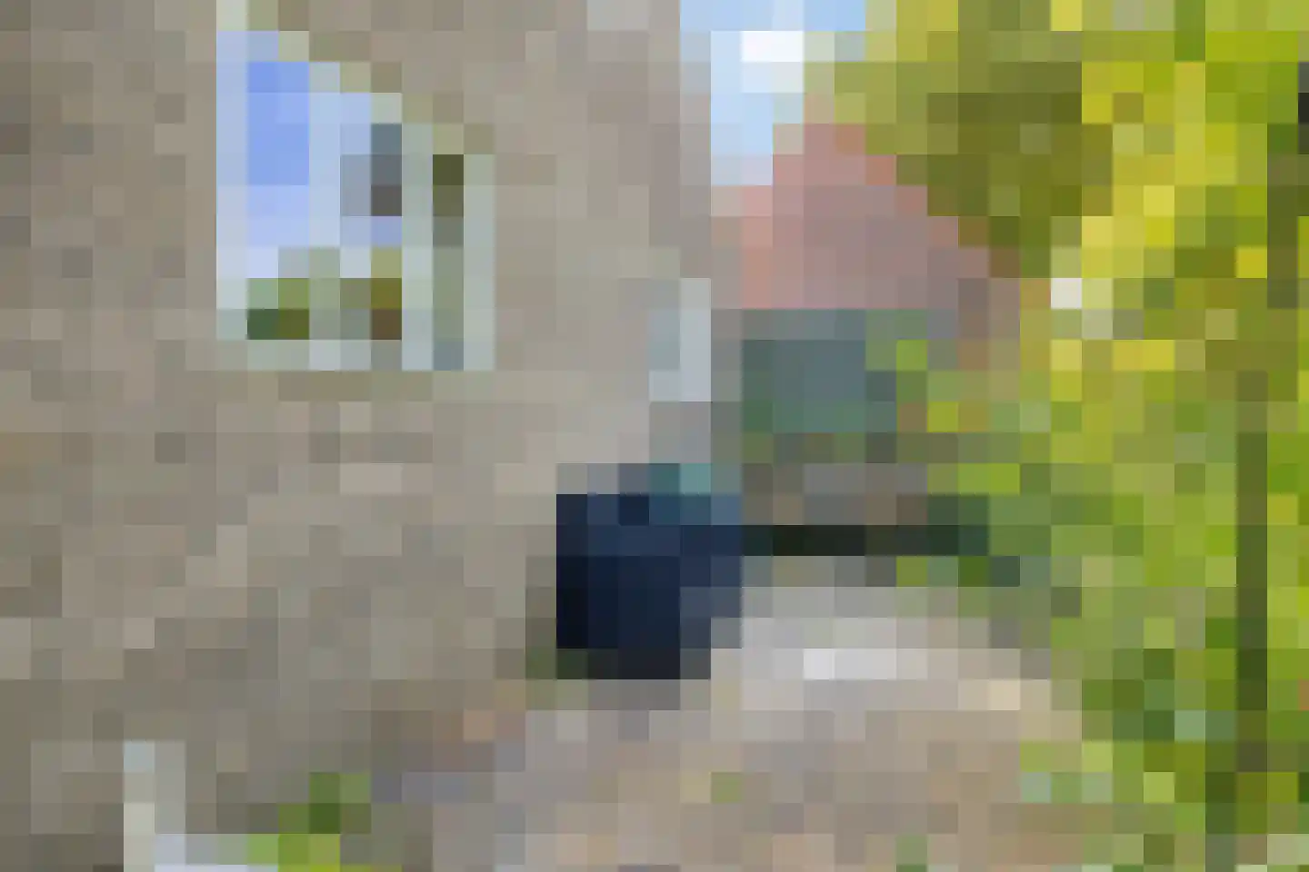 Suermondsweg 4 Smilde thumbnail 40