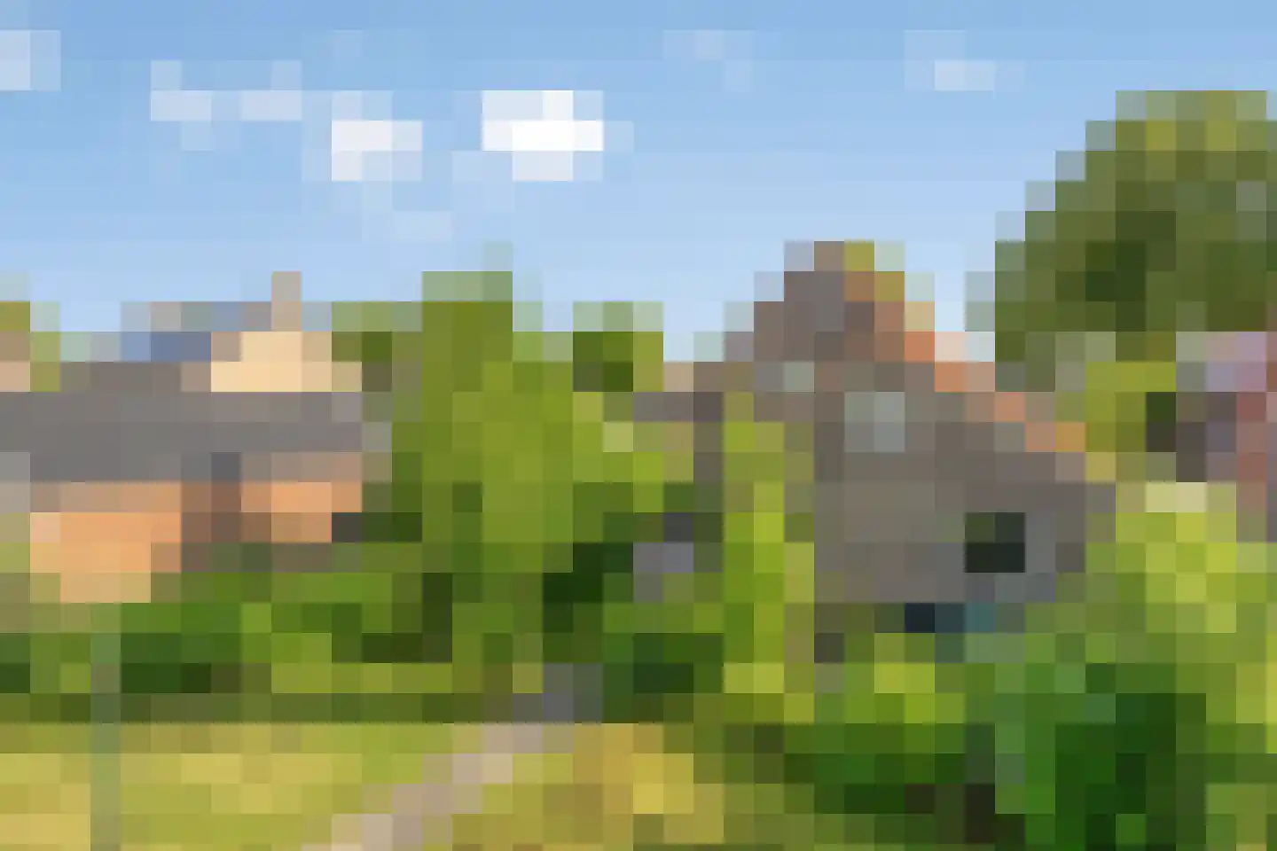 Suermondsweg 4 Smilde thumbnail 41