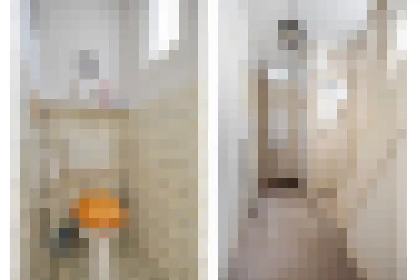 Suermondsweg 4 Smilde thumbnail 9