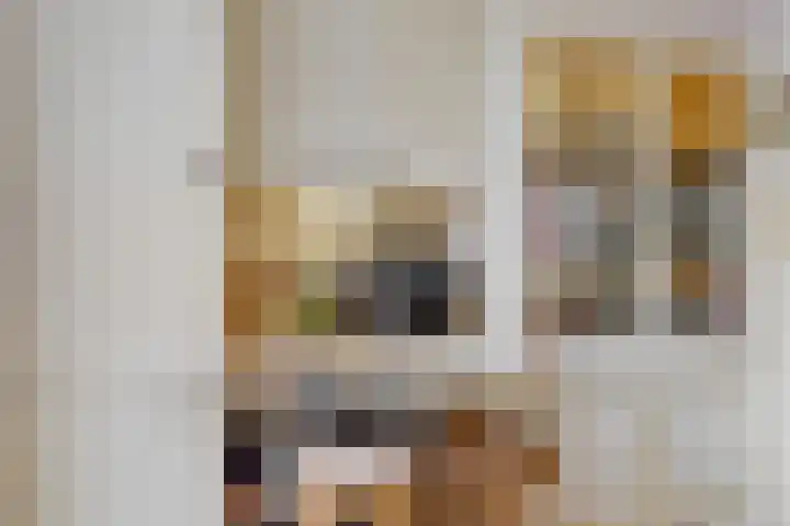 Suezkade 116 Den Haag thumbnail 13