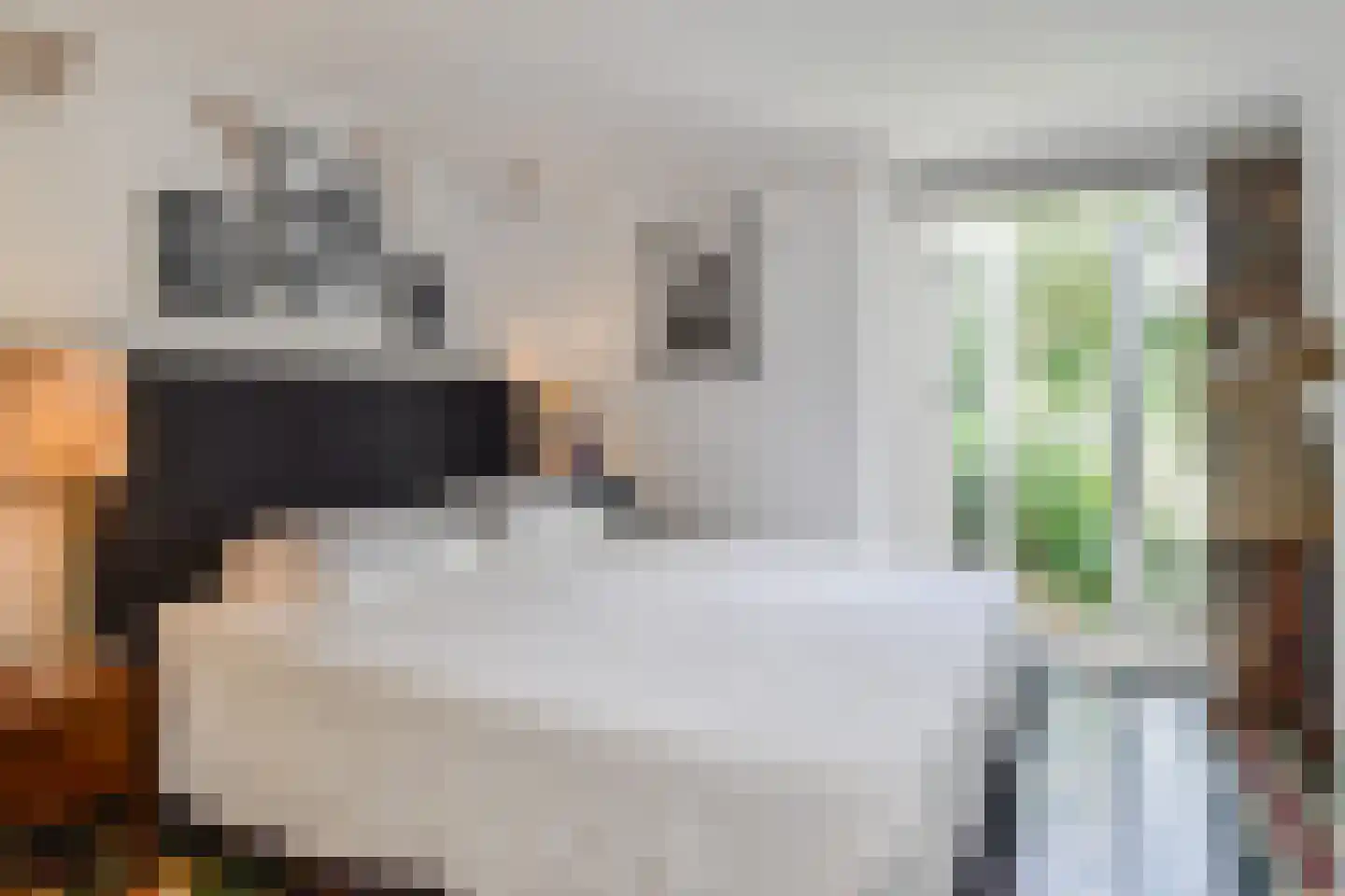 Suezkade 158 Den Haag thumbnail 35