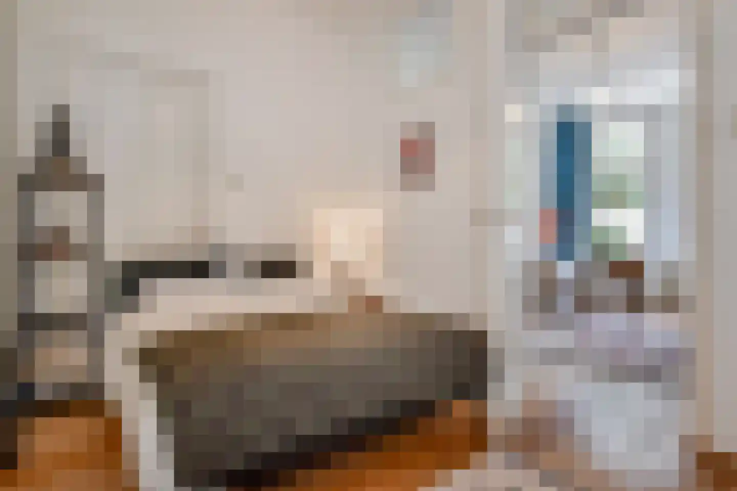 Suezkade 158 Den Haag thumbnail 7