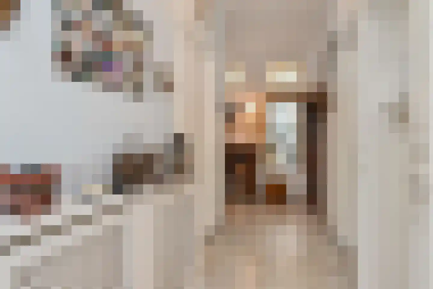 Suezkade 158 Den Haag thumbnail 8