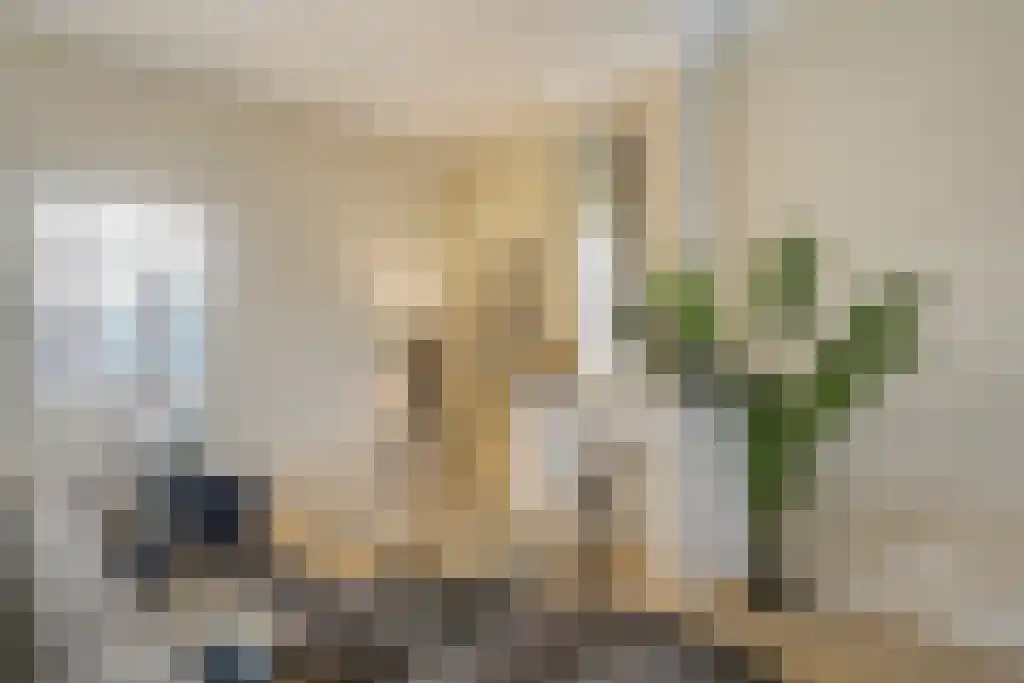 Suezkade 170 Den Haag thumbnail 4