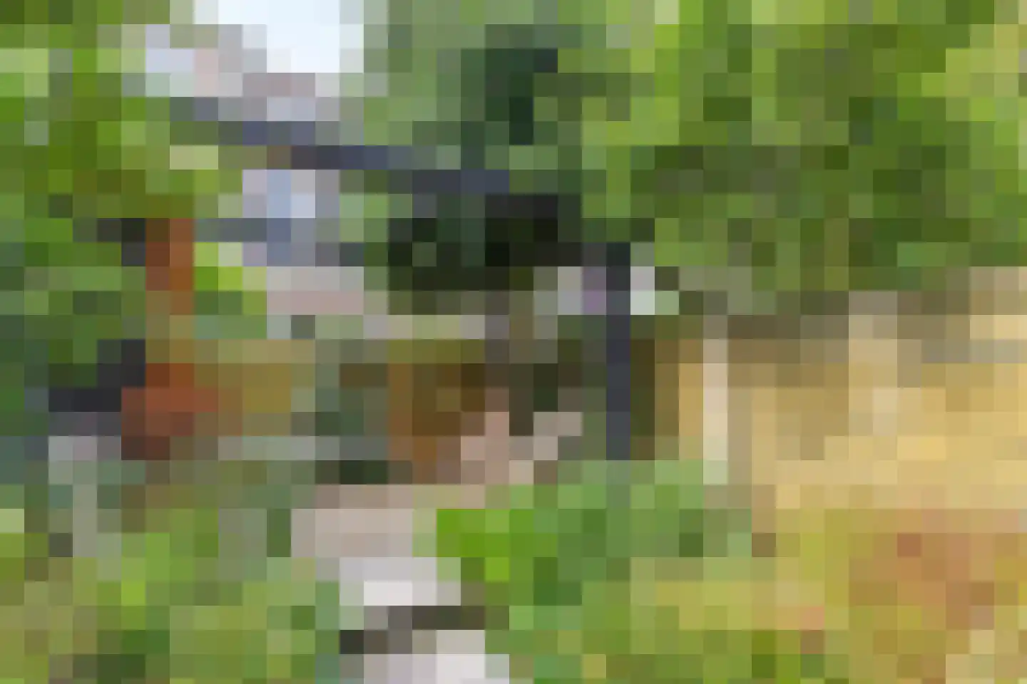 Suezkade 174 Den Haag thumbnail 23