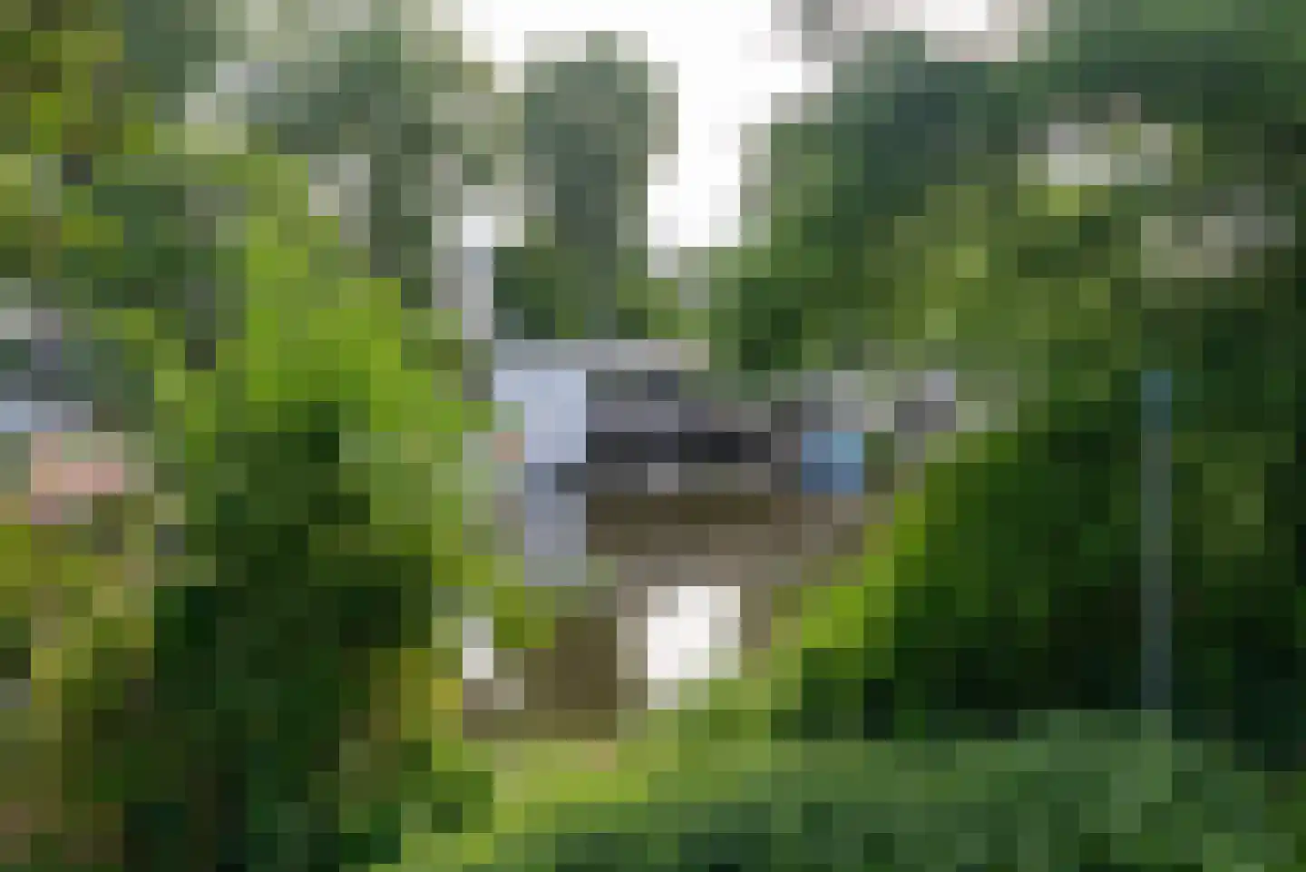 Suezkade 174 Den Haag thumbnail 40
