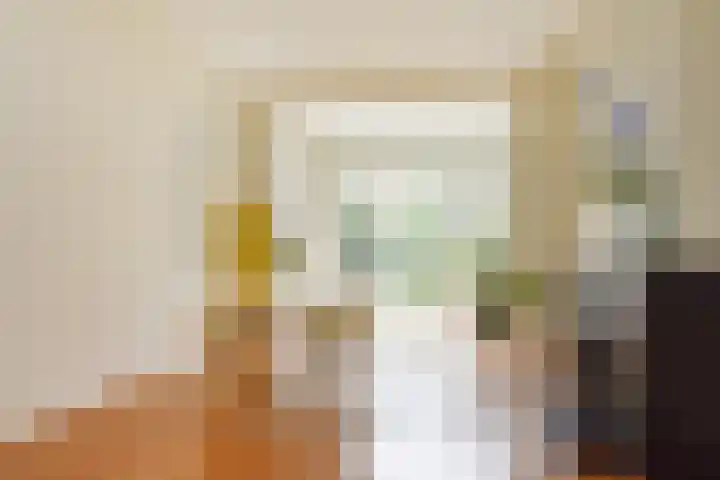 Suezkade 178 Den Haag thumbnail 19
