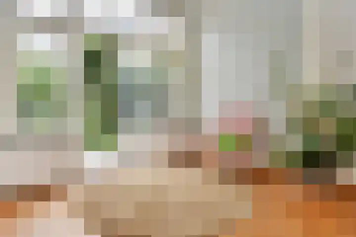 Suezkade 178 Den Haag thumbnail 20