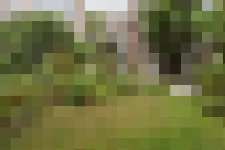 Suezkade 178 Den Haag thumbnail 23