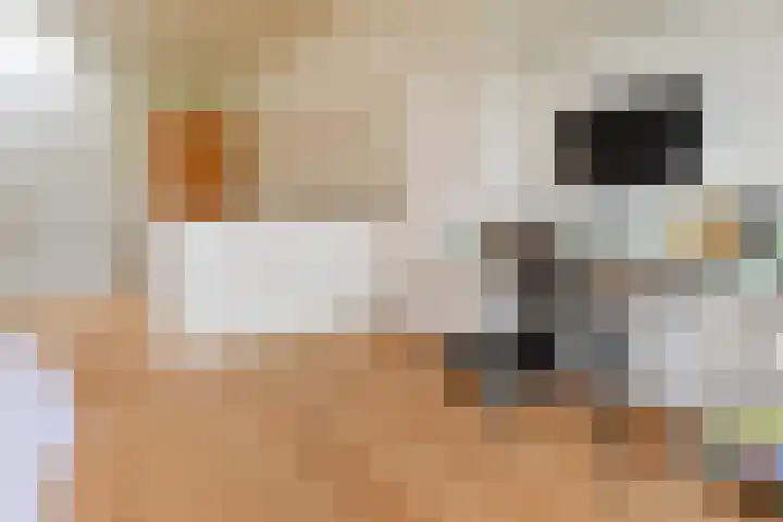 Suezkade 178 Den Haag thumbnail 54