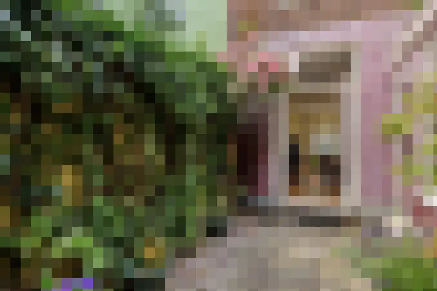 Suezkade 4 Den Haag thumbnail 11