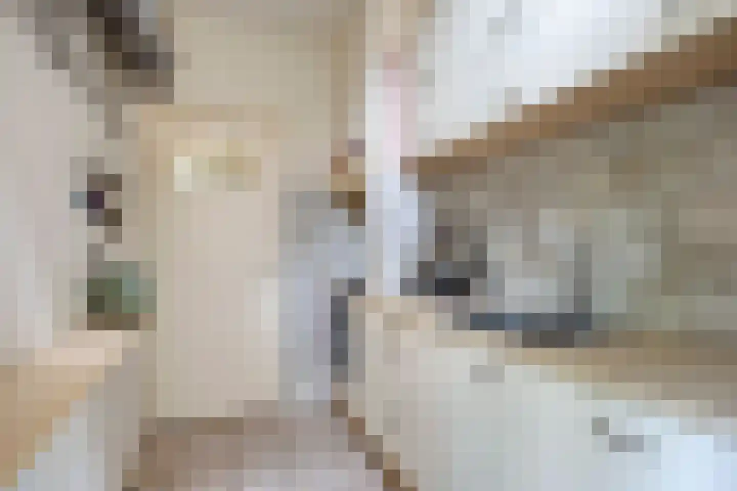 Suezkade 4 Den Haag thumbnail 13